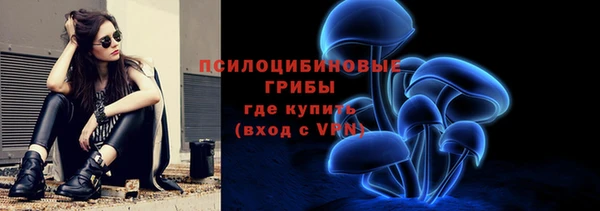 сатива Алексин