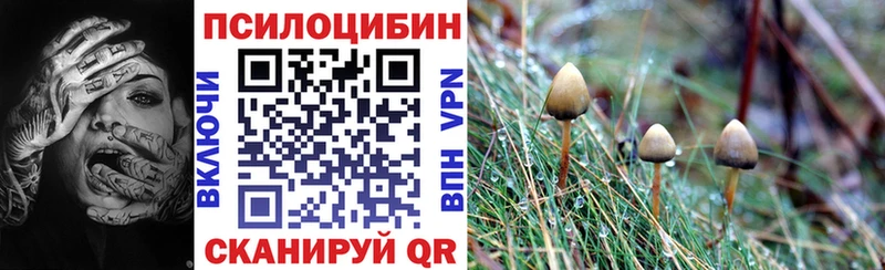 Псилоцибиновые грибы Cubensis Армянск